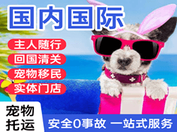 龙嘉航空托运国际宠物托运 【国